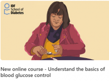 IDF School of Diabetes